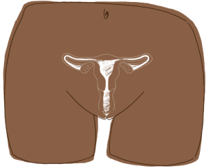 illo_uterus_anatomy.png