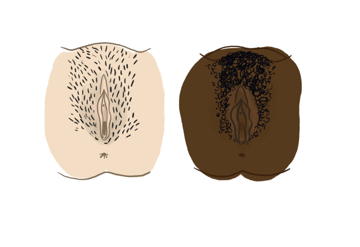 Vulvas