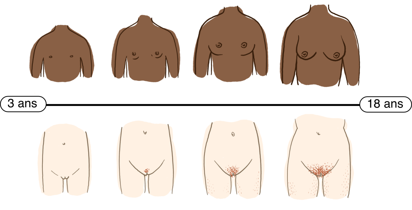 french_thebody-womenslider2x.png